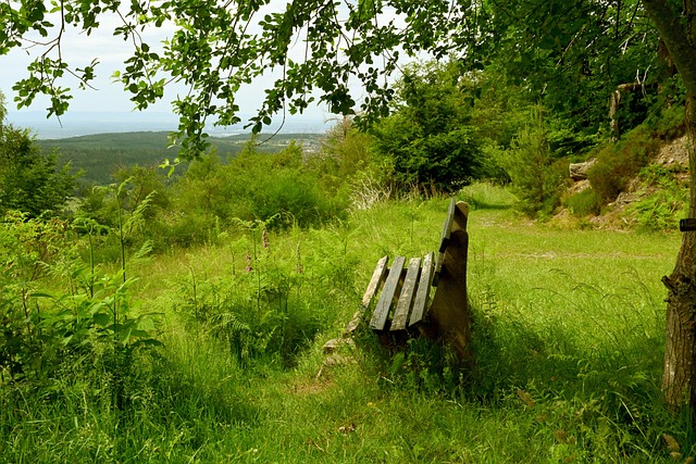 价同样达到 价同样达到