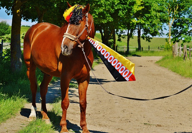 锁定年轻天 锁定年轻天