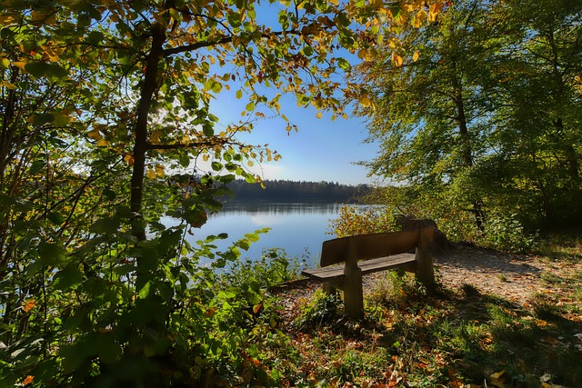 作为一名中 作为一名中