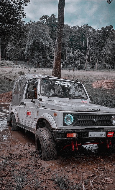 22赛季成 22赛季成